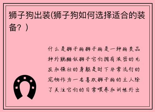 狮子狗出装(狮子狗如何选择适合的装备？)